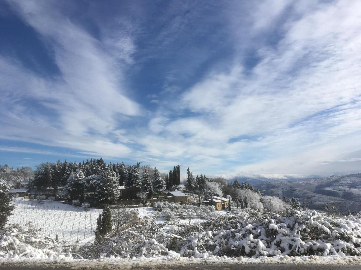 Casa Ercole Farm Stay Greve in Chianti Exterior photo