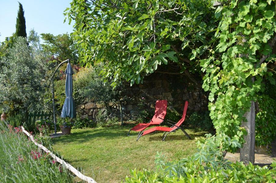 Casa Ercole Farm Stay Greve in Chianti Exterior photo