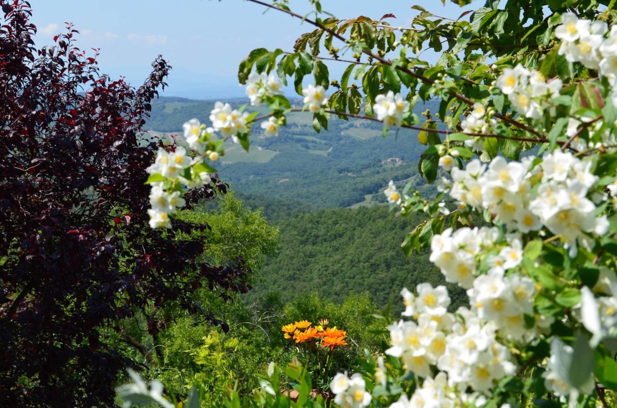 Casa Ercole Farm Stay Greve in Chianti Exterior photo