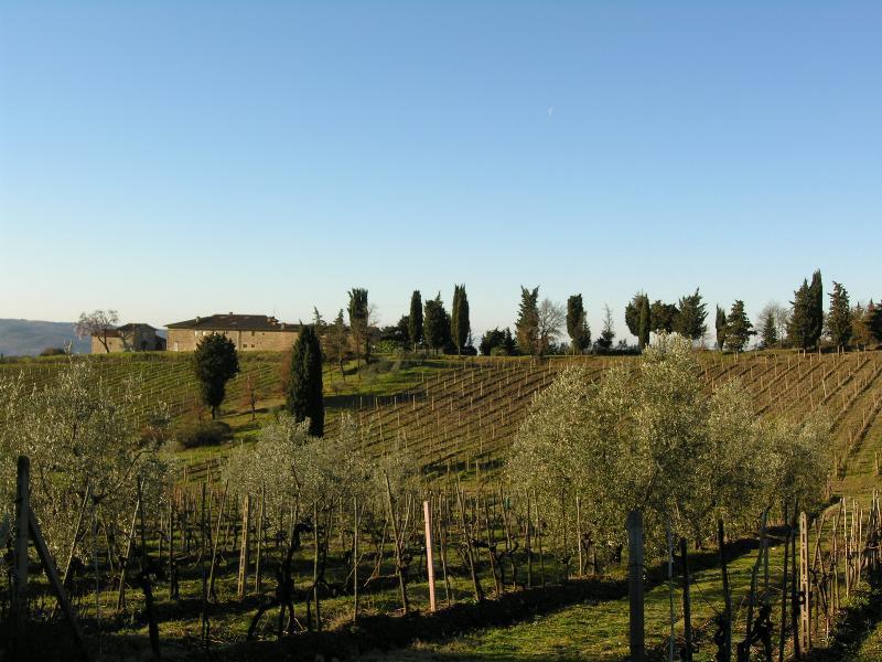 Casa Ercole Farm Stay Greve in Chianti Exterior photo